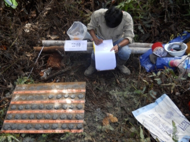 Wellsite